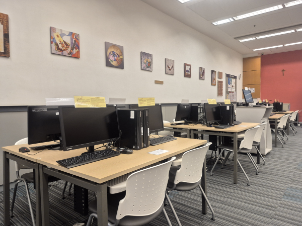 Computers in IT Zone