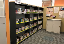 AV Shelves
